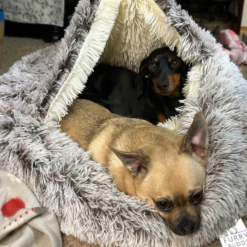 Furry Buddy™ Snuggle Cave